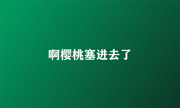 啊樱桃塞进去了