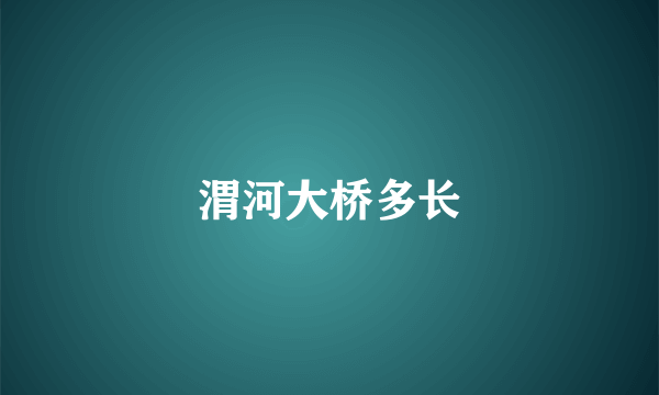 渭河大桥多长