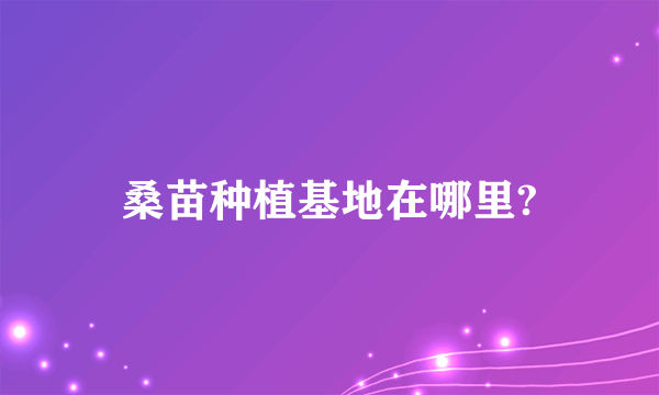 桑苗种植基地在哪里?