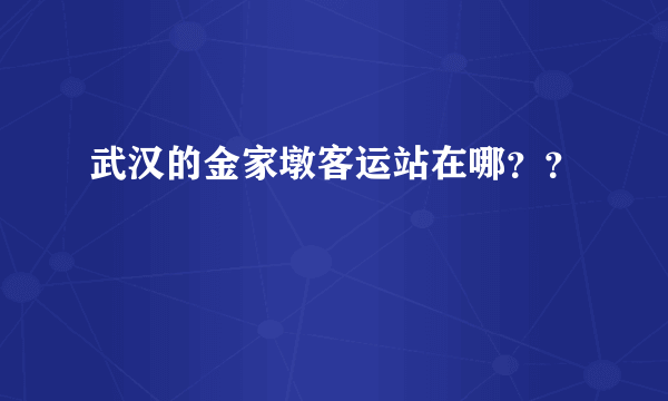 武汉的金家墩客运站在哪？？