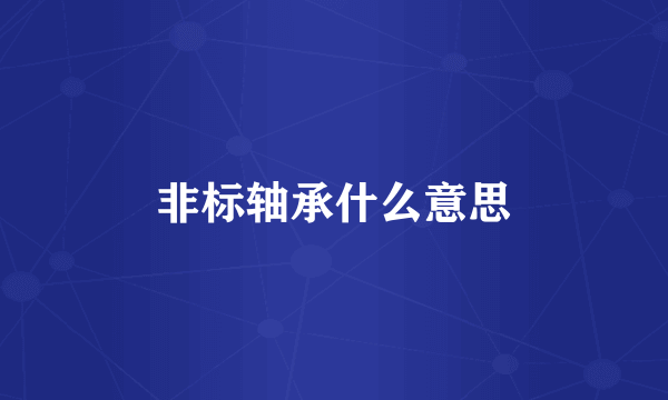 非标轴承什么意思