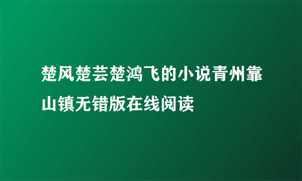 楚风楚芸楚鸿飞的小说青州靠山镇无错版在线阅读