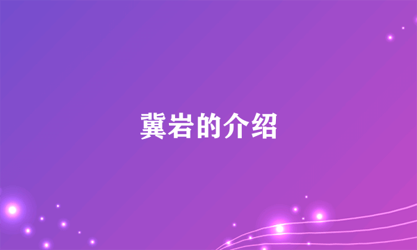 冀岩的介绍