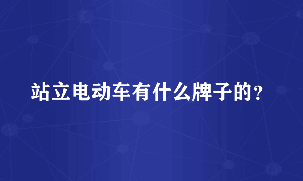 站立电动车有什么牌子的？