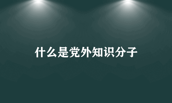 什么是党外知识分子