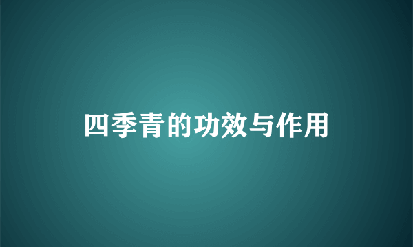 四季青的功效与作用