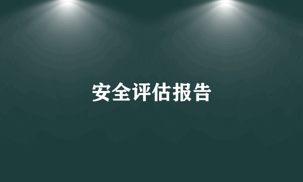 安全评估报告