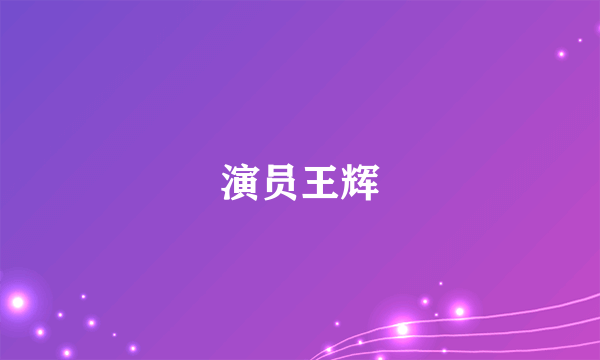 演员王辉