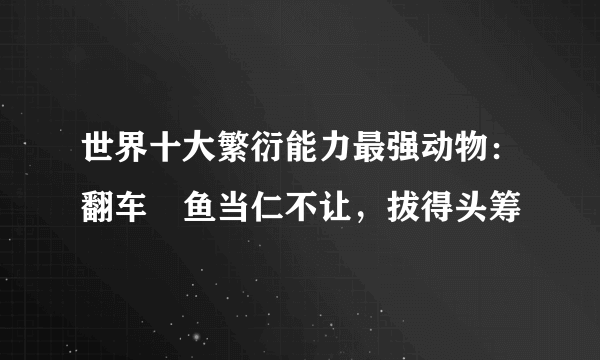 世界十大繁衍能力最强动物：翻车鲀鱼当仁不让，拔得头筹 