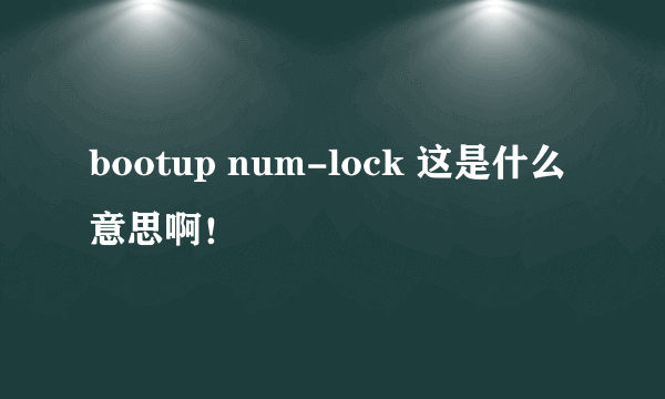 bootup num-lock 这是什么意思啊！