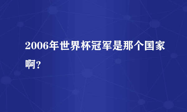 2006年世界杯冠军是那个国家啊？