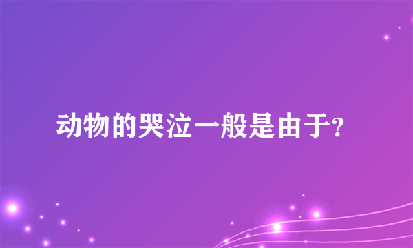 动物的哭泣一般是由于？