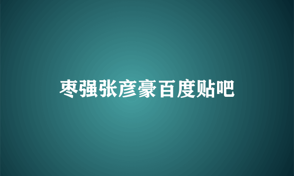 枣强张彦豪百度贴吧