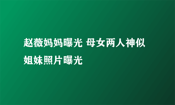 赵薇妈妈曝光 母女两人神似姐妹照片曝光