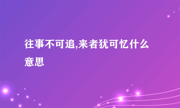 往事不可追,来者犹可忆什么意思