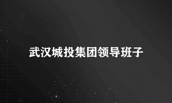 武汉城投集团领导班子