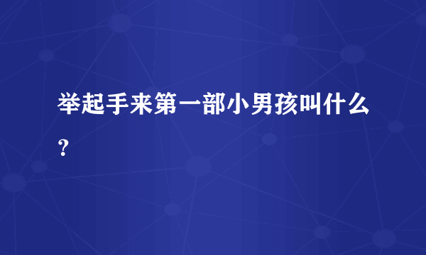 举起手来第一部小男孩叫什么？