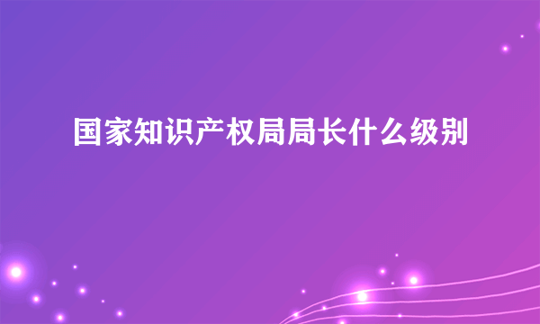 国家知识产权局局长什么级别