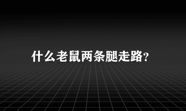 什么老鼠两条腿走路？