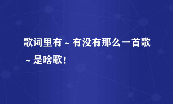 歌词里有～有没有那么一首歌～是啥歌！