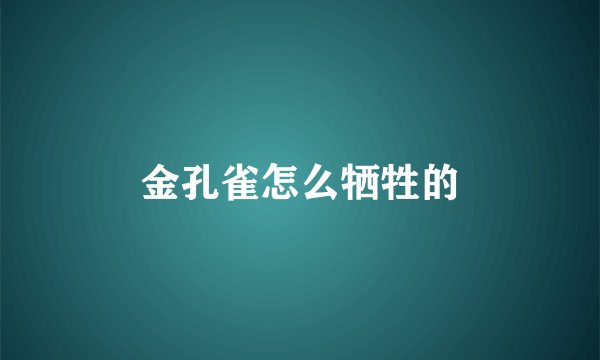 金孔雀怎么牺牲的