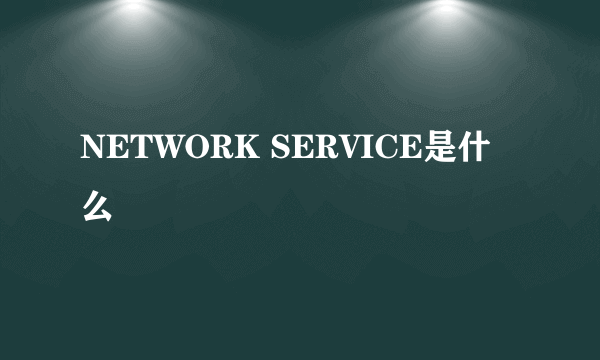 NETWORK SERVICE是什么
