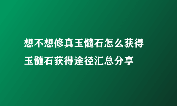 想不想修真玉髓石怎么获得 玉髓石获得途径汇总分享