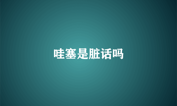 哇塞是脏话吗