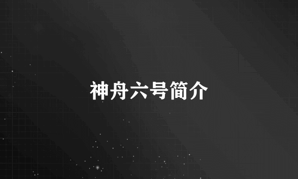 神舟六号简介