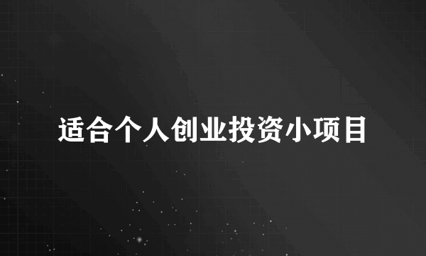 适合个人创业投资小项目