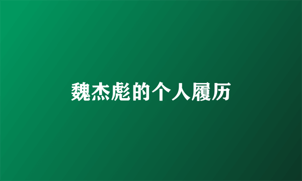 魏杰彪的个人履历
