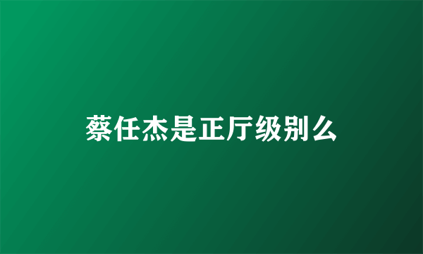 蔡任杰是正厅级别么