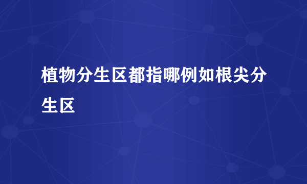 植物分生区都指哪例如根尖分生区