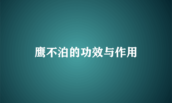 鹰不泊的功效与作用