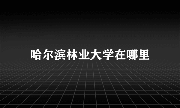 哈尔滨林业大学在哪里