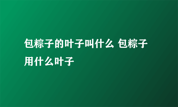 包粽子的叶子叫什么 包粽子用什么叶子