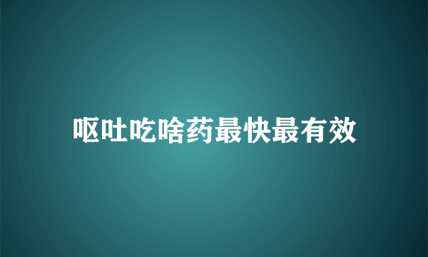 呕吐吃啥药最快最有效
