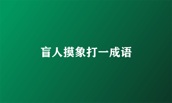 盲人摸象打一成语