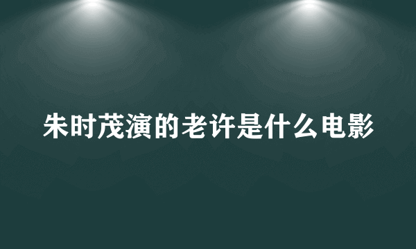 朱时茂演的老许是什么电影