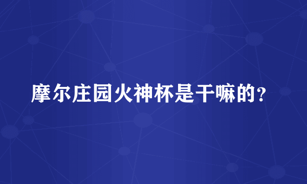 摩尔庄园火神杯是干嘛的？