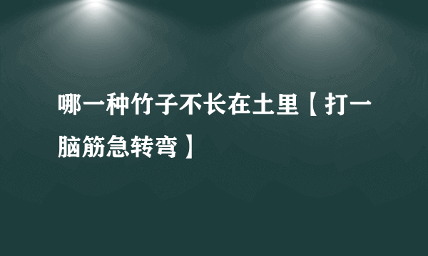 哪一种竹子不长在土里【打一脑筋急转弯】