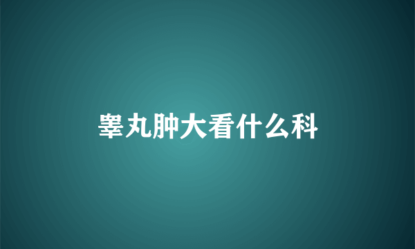 睾丸肿大看什么科