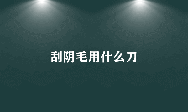 刮阴毛用什么刀