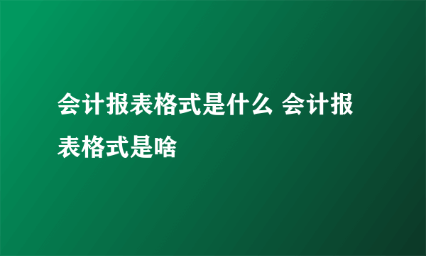 会计报表格式是什么 会计报表格式是啥