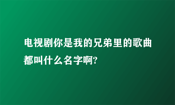 电视剧你是我的兄弟里的歌曲都叫什么名字啊?