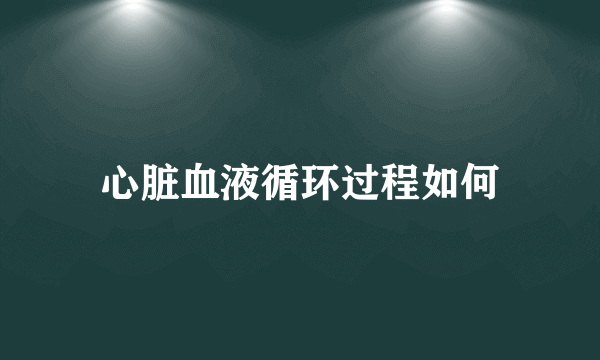 心脏血液循环过程如何