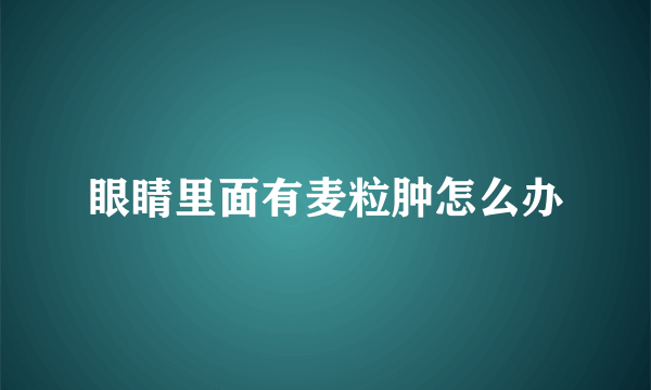 眼睛里面有麦粒肿怎么办