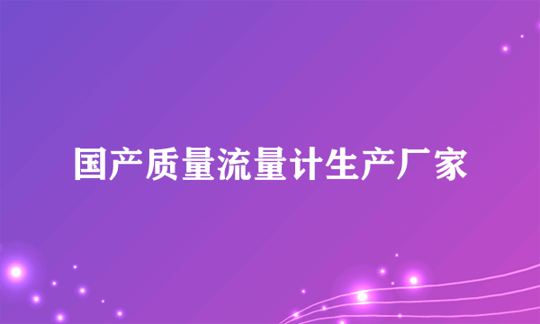 国产质量流量计生产厂家