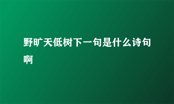 野旷天低树下一句是什么诗句啊
