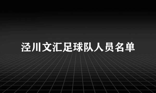 泾川文汇足球队人员名单